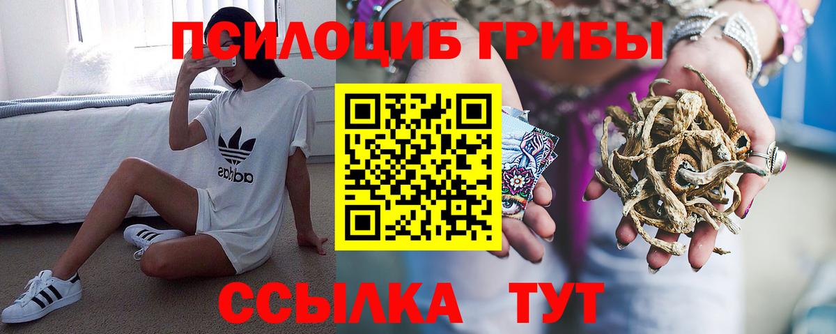 Галлюциногенные грибы MAGIC MUSHROOMS  Псилоцибиновые грибы Magic Shrooms  Вход с VPN  Гусь-Хрустальный 