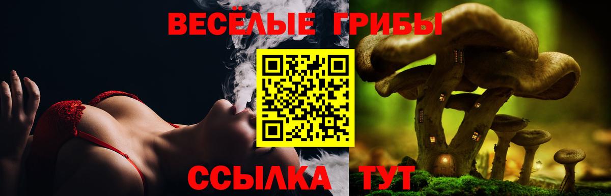 Псилоцибиновые грибы Psilocybine cubensis Гусь-Хрустальный